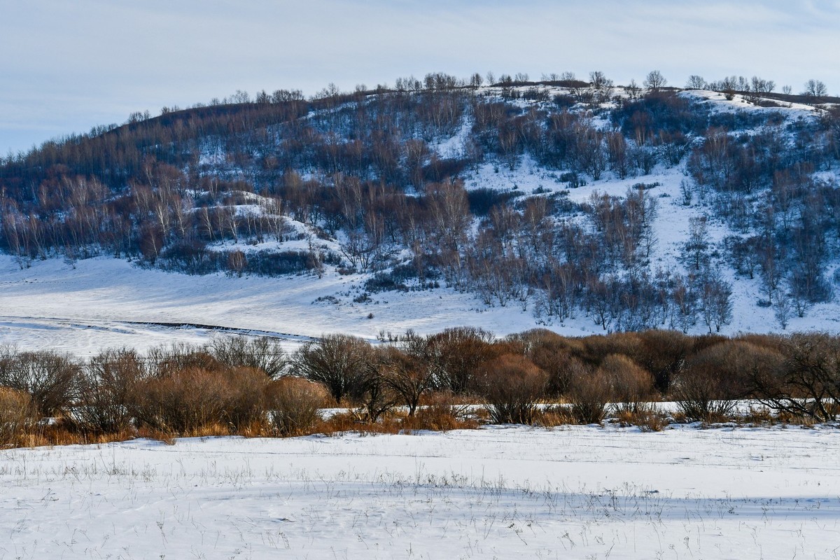 我只是把出去看到的随手记录下来（七十五）