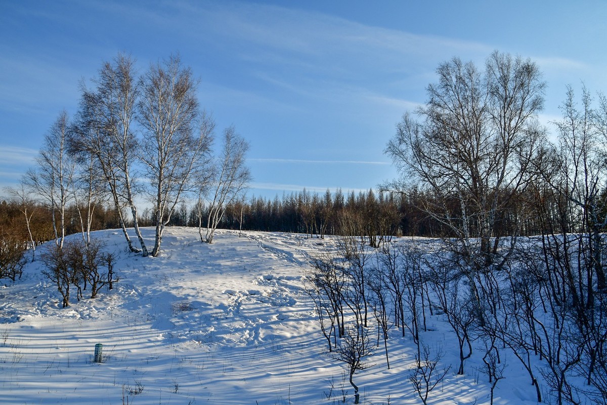 我只是把出去看到的随手记录下来（七十五）