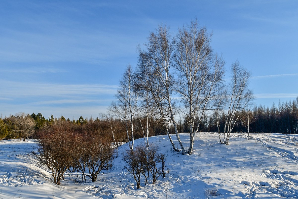 我只是把出去看到的随手记录下来（七十五）