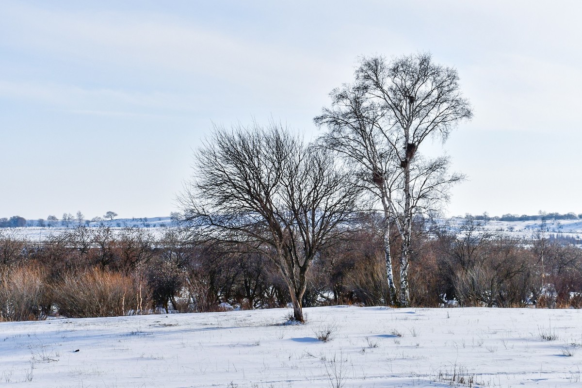 我只是把出去看到的随手记录下来（七十五）