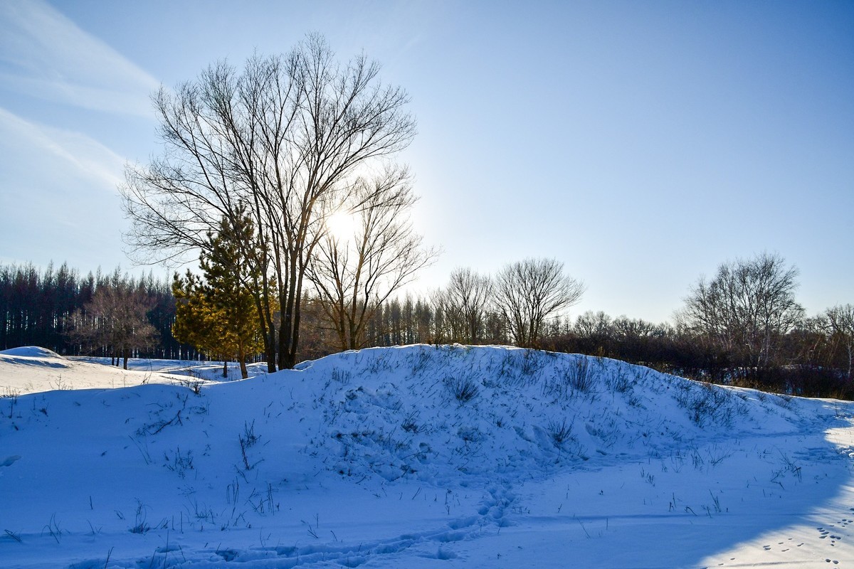 我只是把出去看到的随手记录下来（七十五）