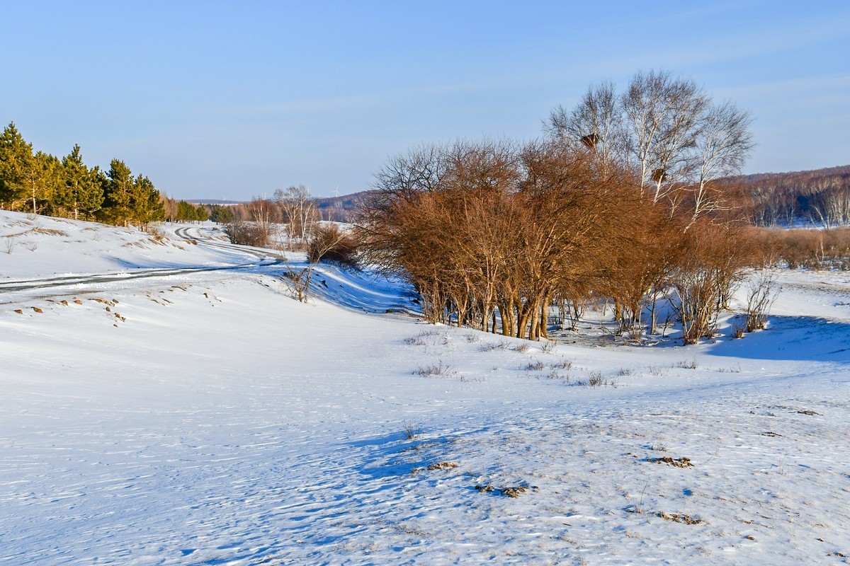 我只是把出去看到的随手记录下来（七十五）