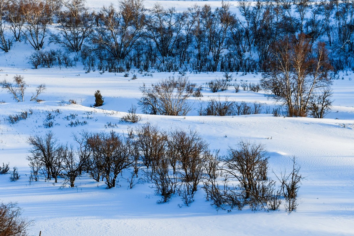我只是把出去看到的随手记录下来（七十五）