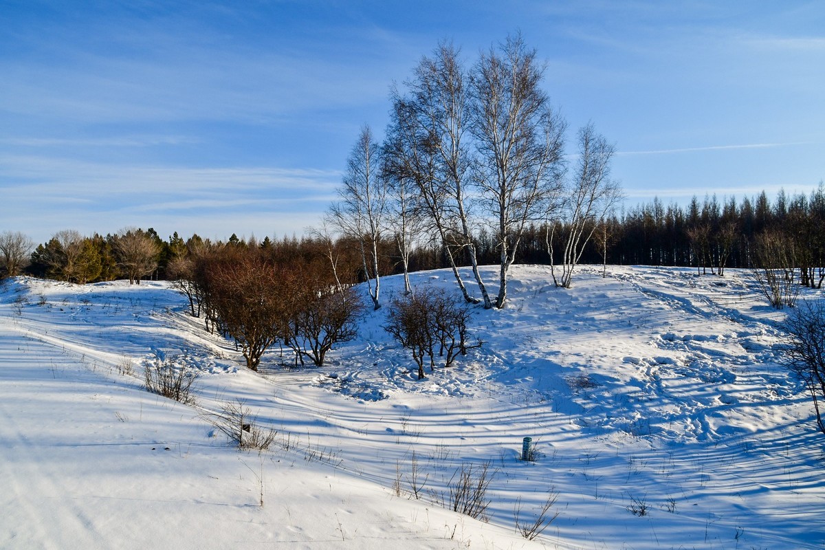 春节乌兰布统塞罕坝之行 及路上所见（二）