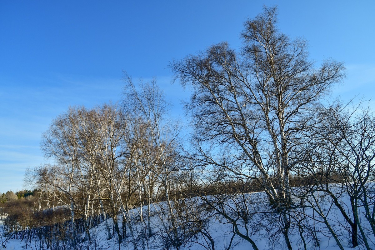 春节乌兰布统塞罕坝之行 及路上所见（二）