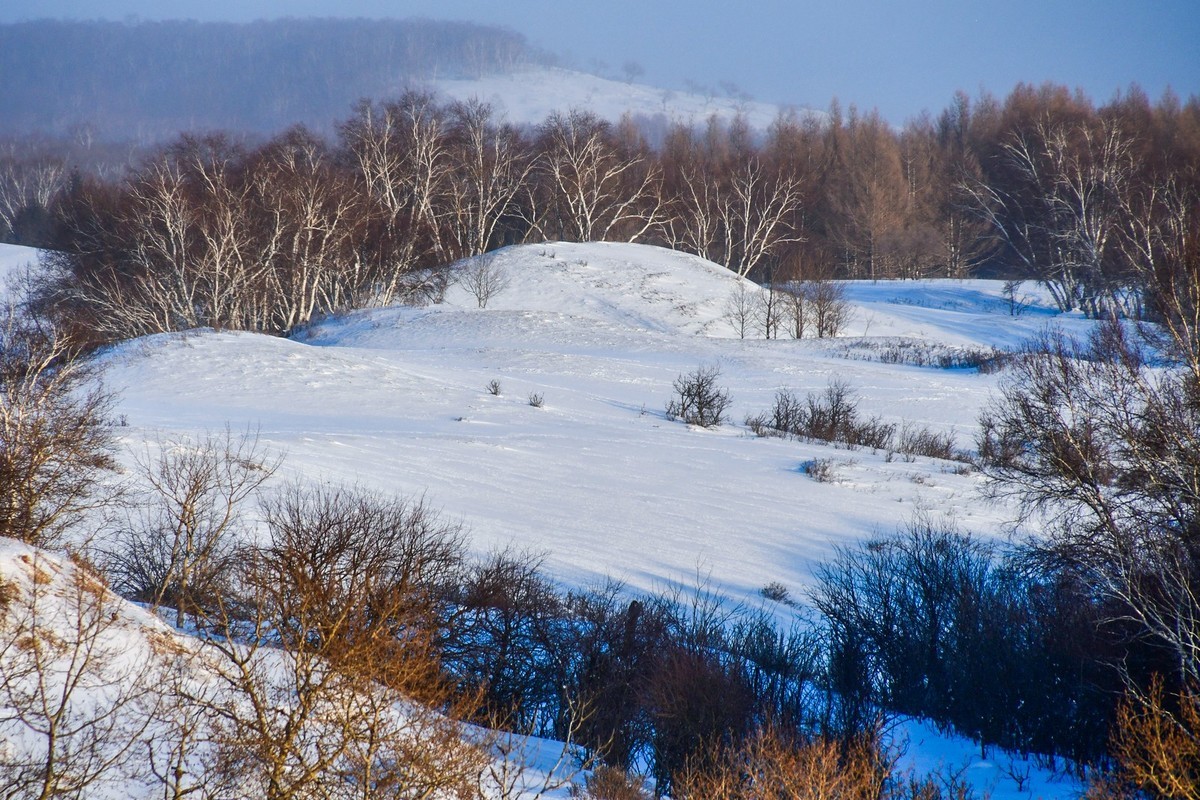 春节乌兰布统塞罕坝之行 及路上所见（二）