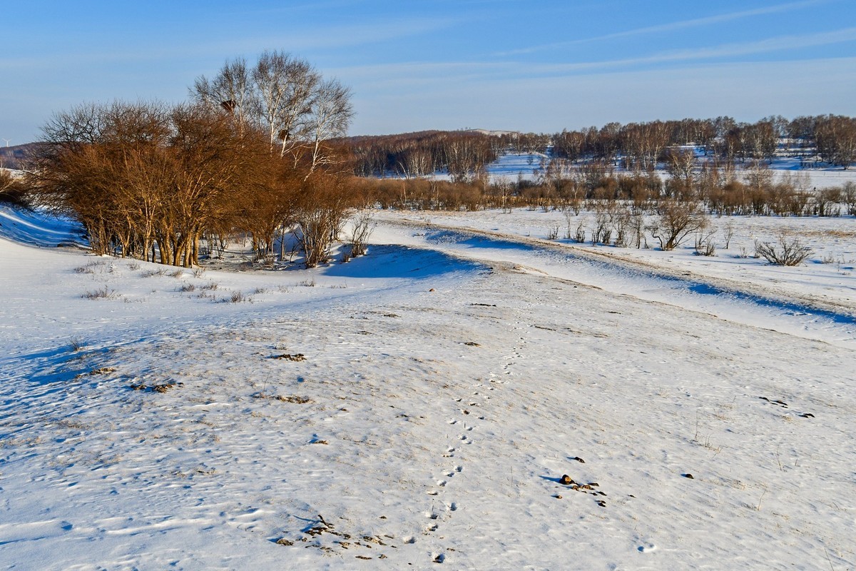 春节乌兰布统塞罕坝之行 及路上所见（二）