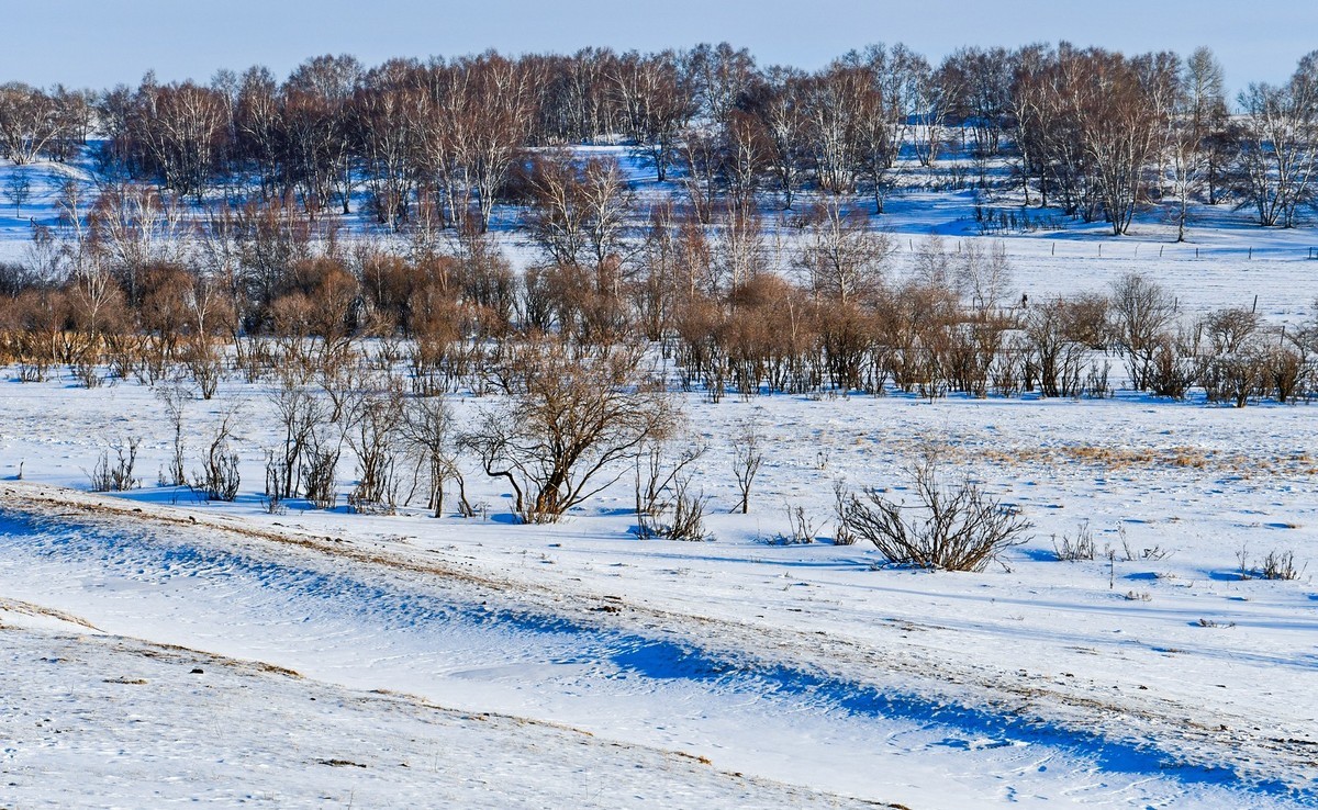 春节乌兰布统塞罕坝之行 及路上所见（二）