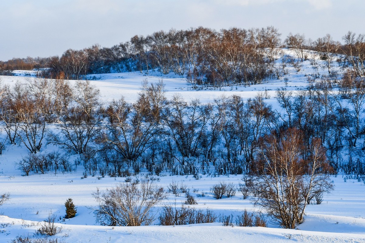 春节乌兰布统塞罕坝之行 及路上所见（二）