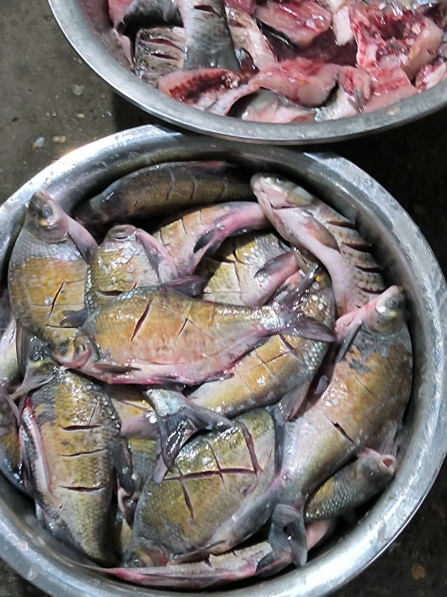 漫步星城 走街串巷（616）湘春楼