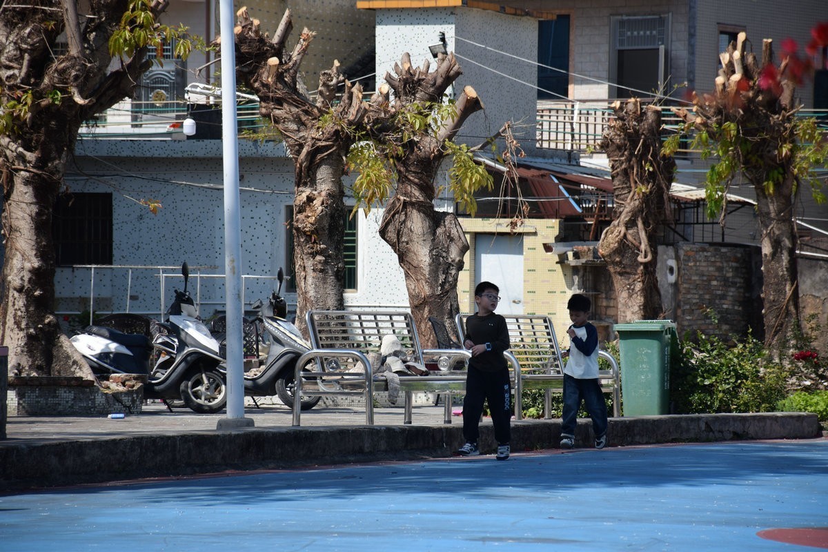 2025春节 广东行（88）独特的语言——军声