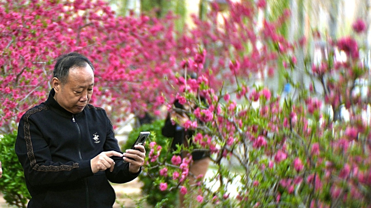 公园遛弯儿随走随拍