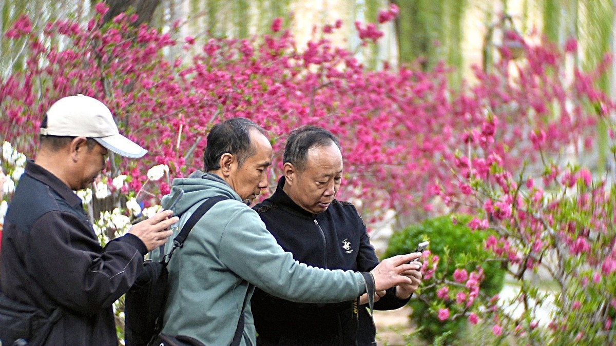 公园遛弯儿随走随拍