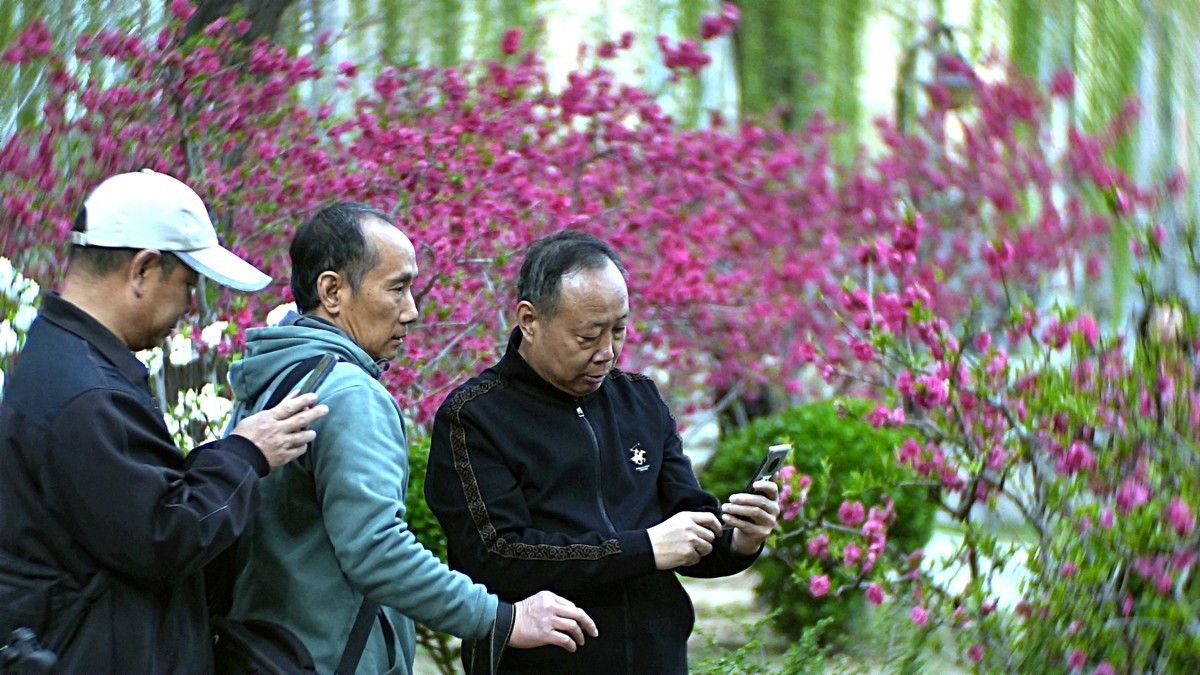 公园遛弯儿随走随拍