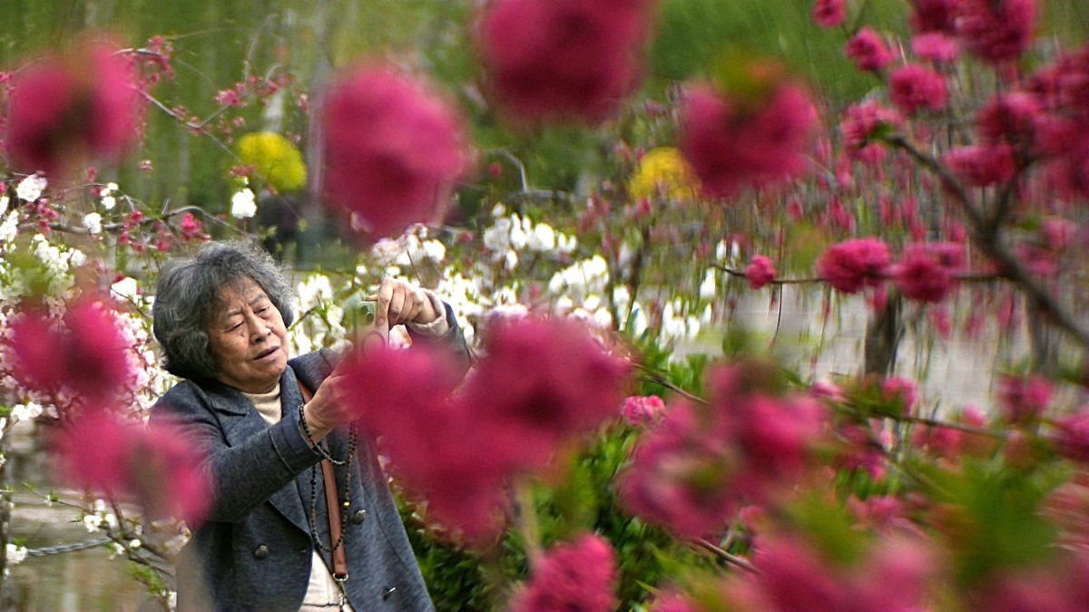 公园遛弯儿随走随拍