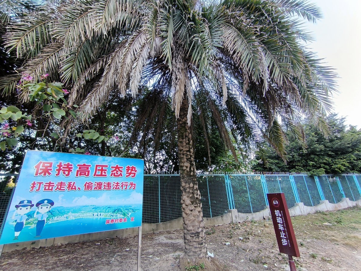 2025春节 广东行（90）渔家、疍家、客家文化在此交融