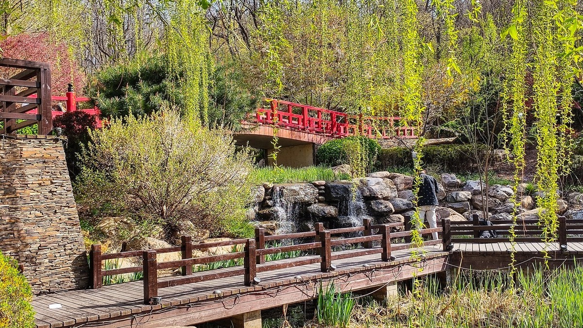 春 和 景 明 植 物 园 （ 三 ）