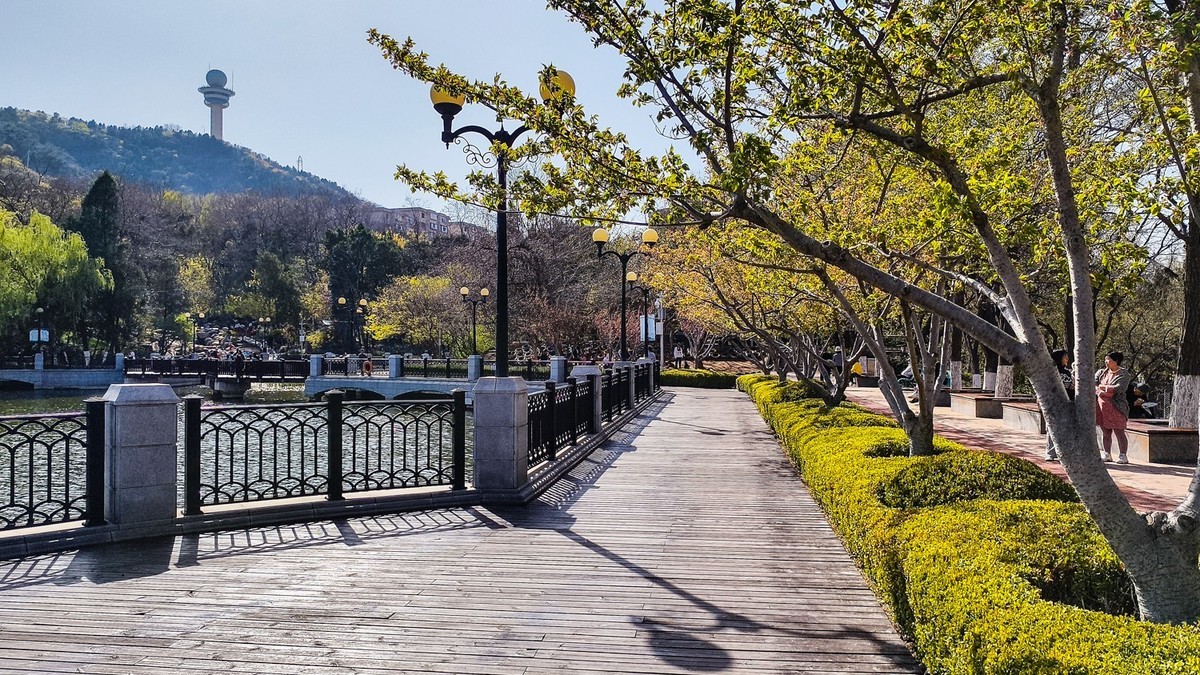 春 和 景 明 植 物 园 （ 三 ）