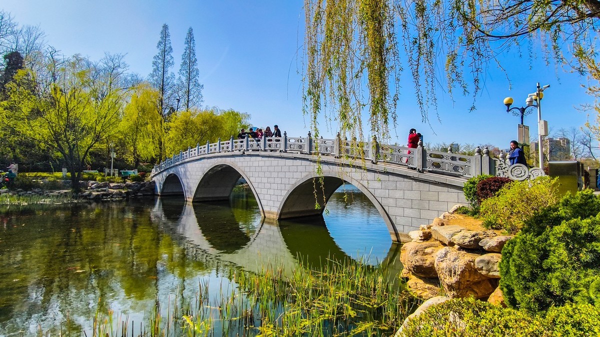 春 和 景 明 植 物 园 （ 三 ）