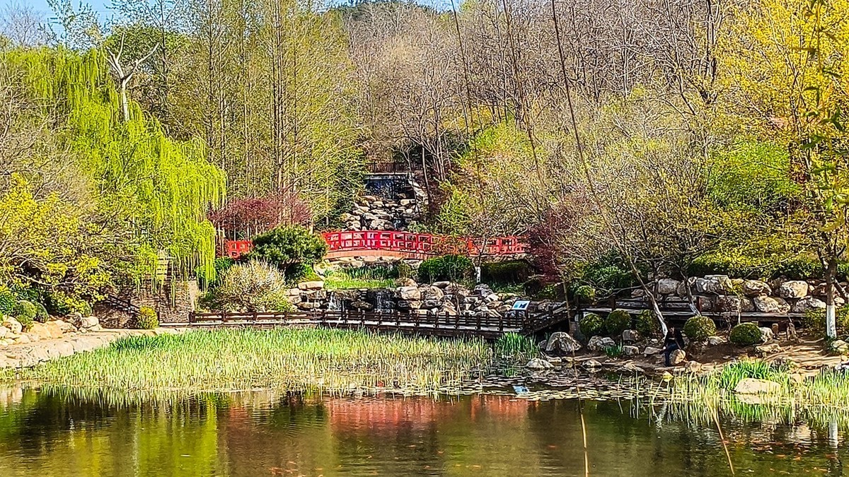 春 和 景 明 植 物 园 （ 三 ）