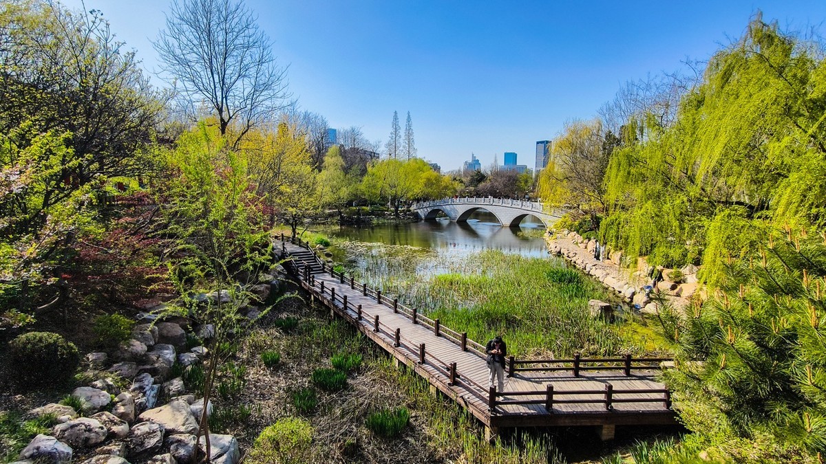 春 和 景 明 植 物 园 （ 三 ）