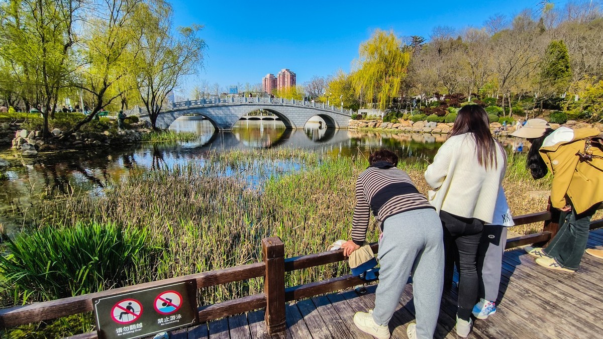 春 和 景 明 植 物 园 （ 三 ）