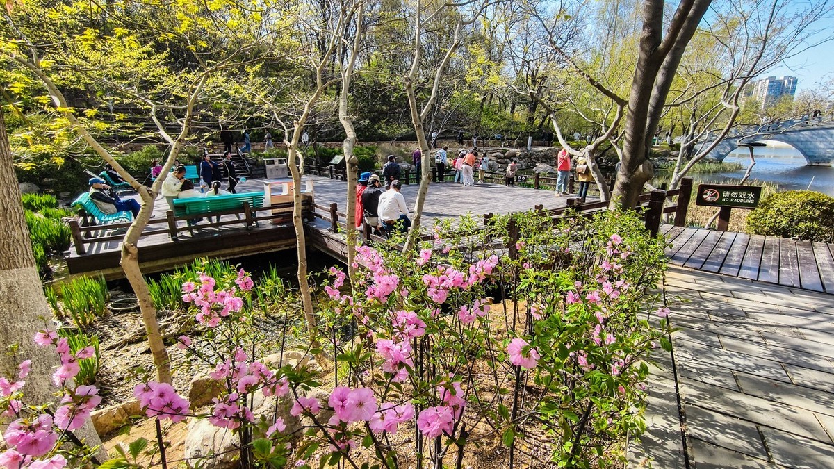 春 和 景 明 植 物 园 （ 三 ）