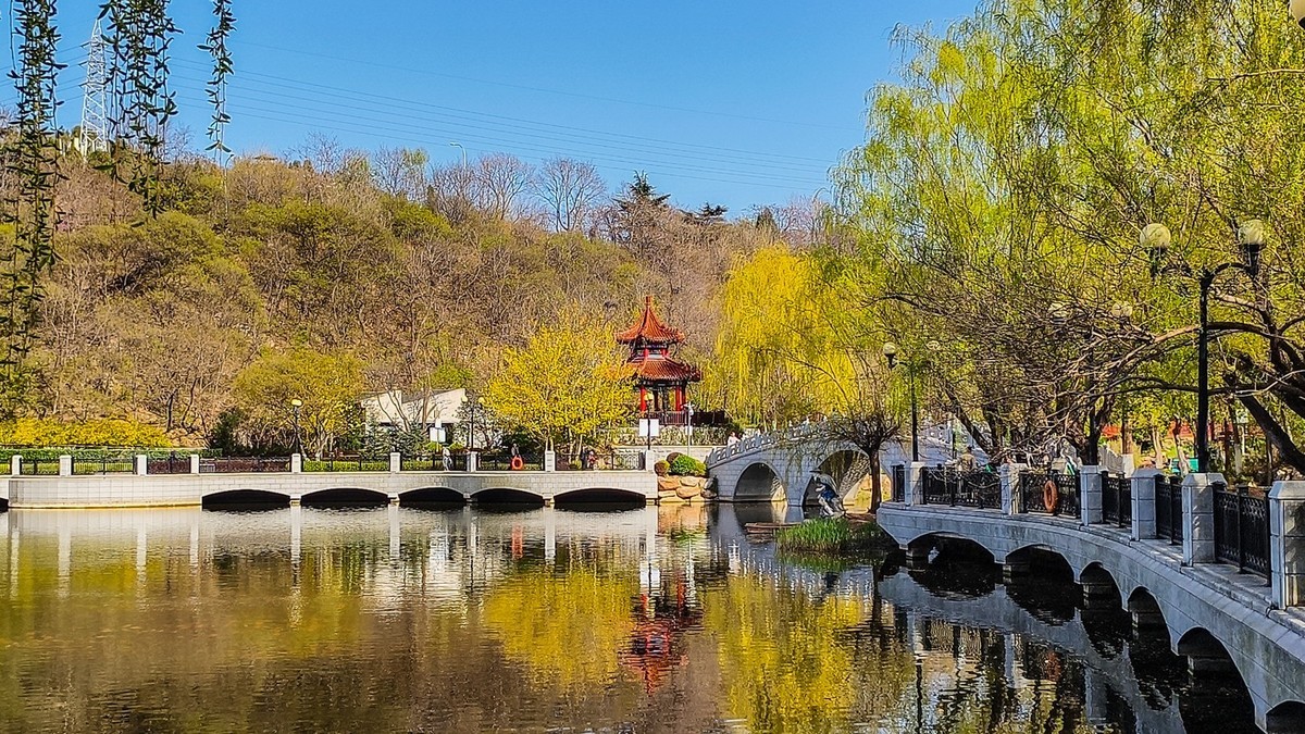 春 和 景 明 植 物 园 （ 三 ）