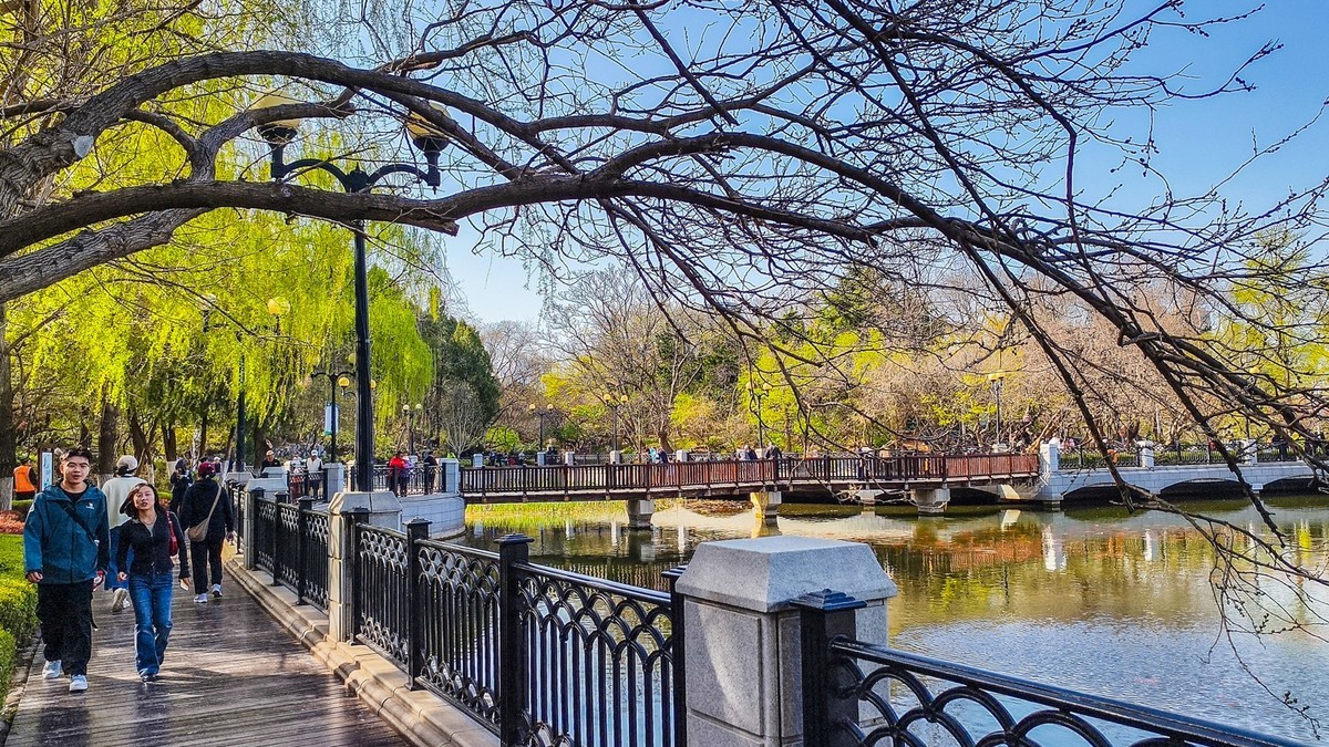 春 和 景 明 植 物 园 （ 三 ）