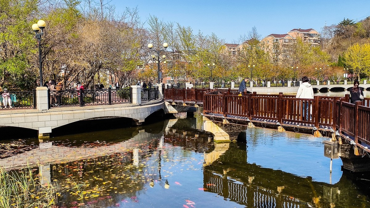 春 和 景 明 植 物 园 （ 三 ）