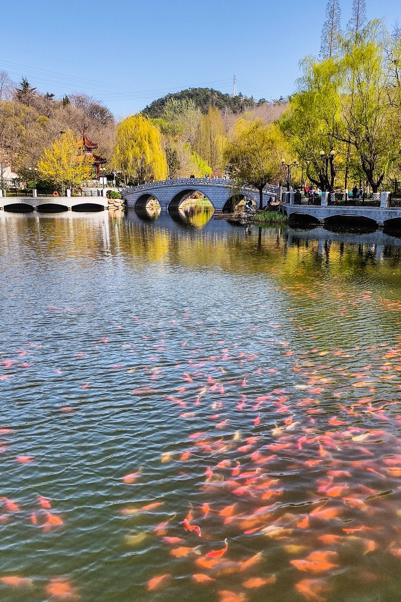 春 和 景 明 植 物 园 （ 三 ）