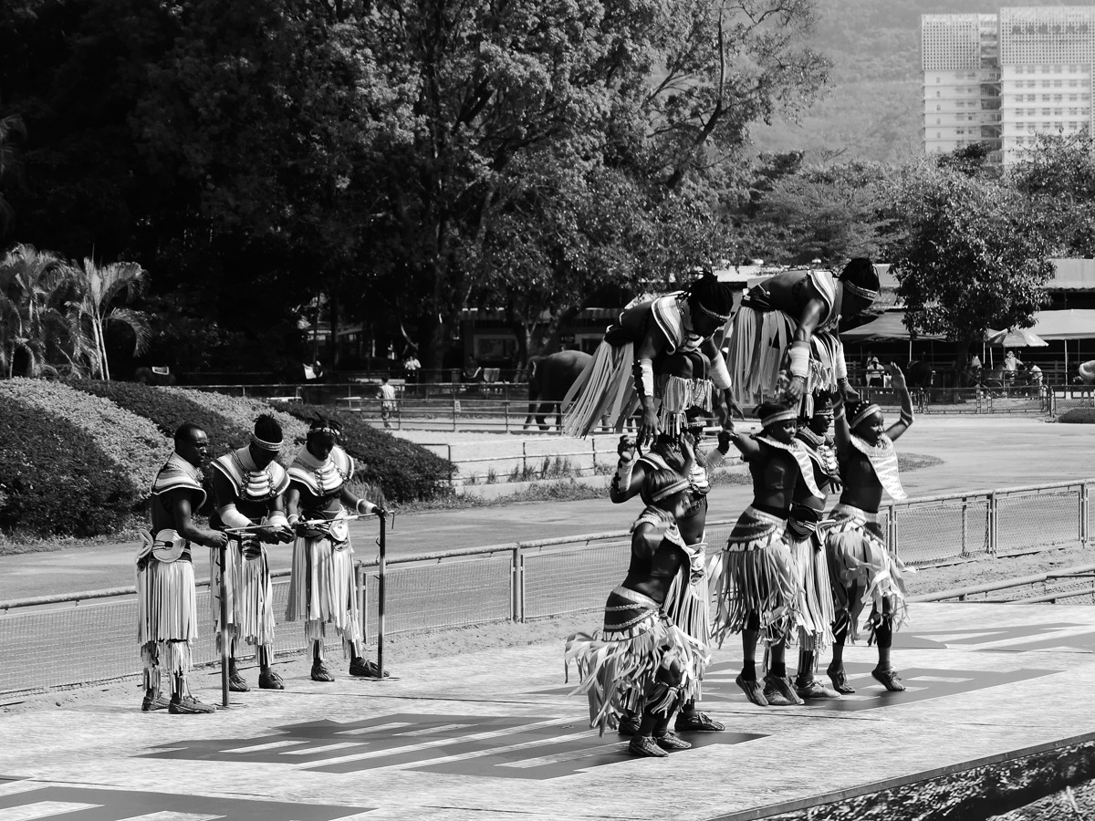 深圳动物园5（完结篇）