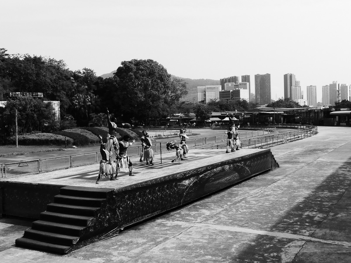 深圳动物园5（完结篇）