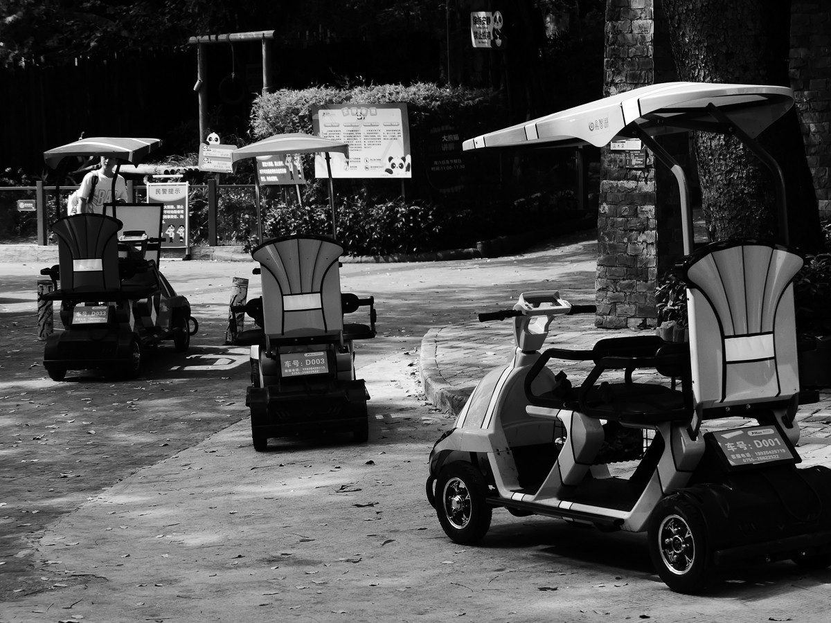 深圳动物园5（完结篇）