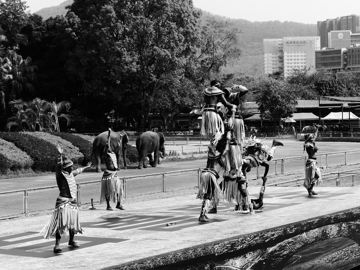 深圳动物园5（完结篇）