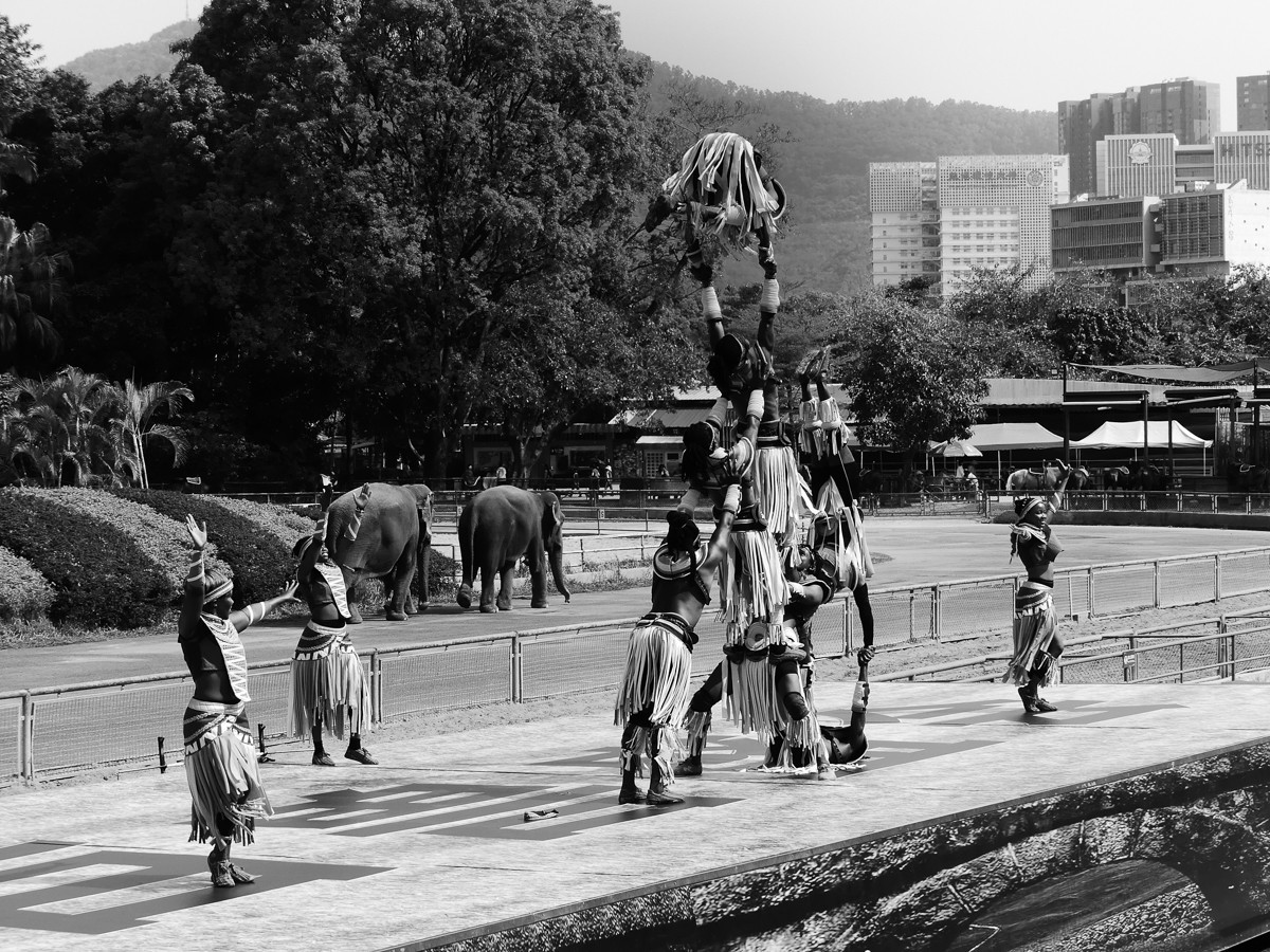 深圳动物园5（完结篇）