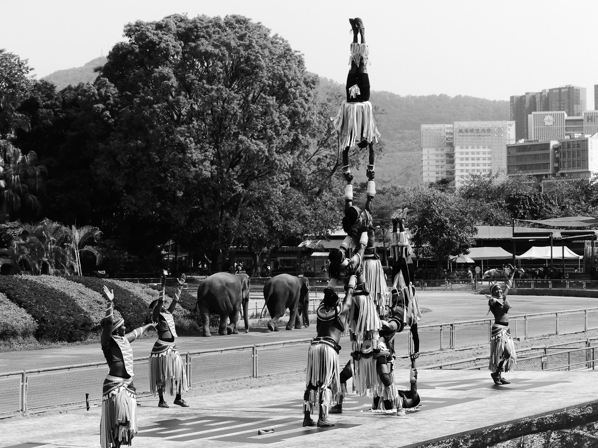 深圳动物园5（完结篇）
