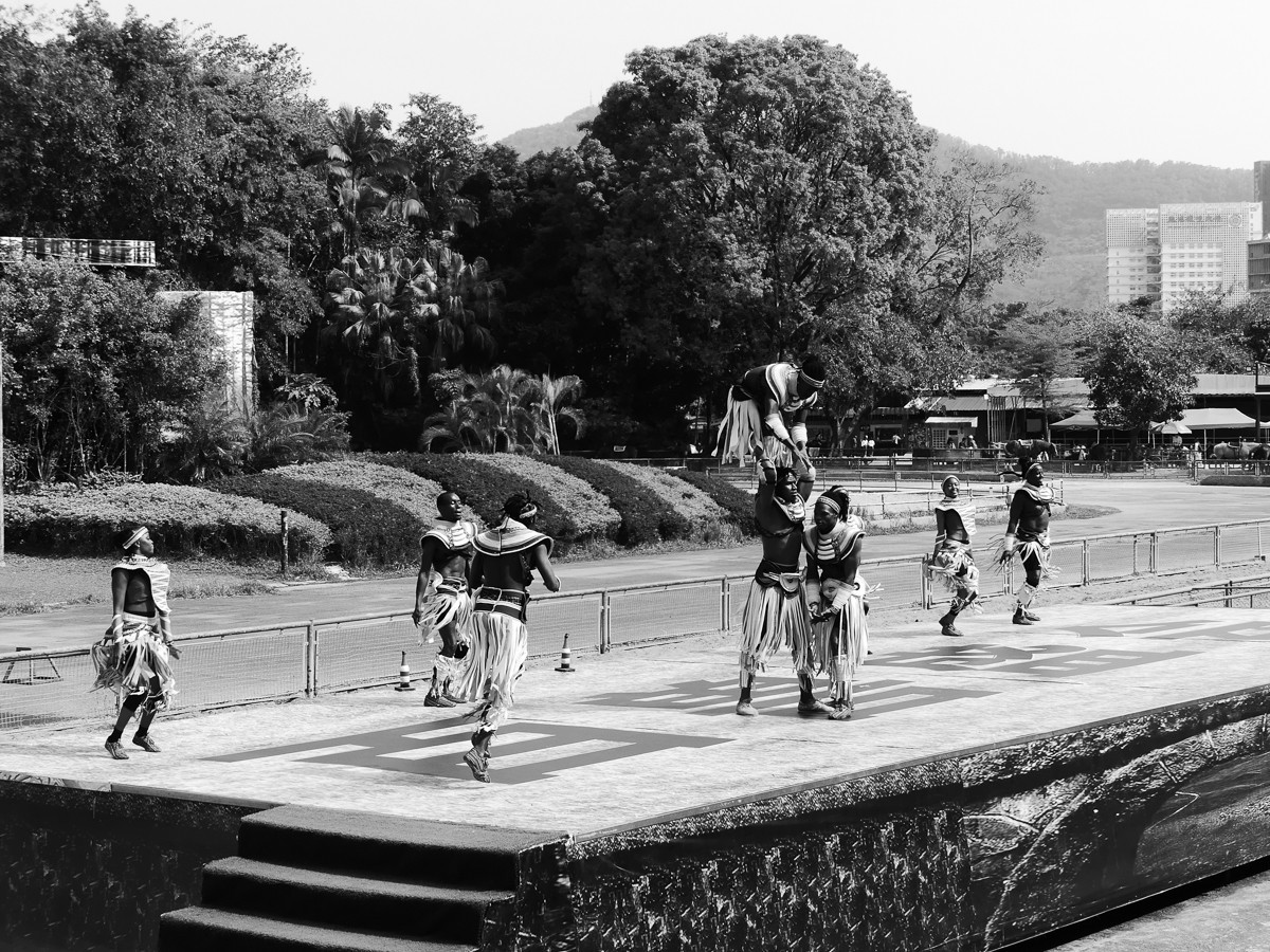 深圳动物园5（完结篇）