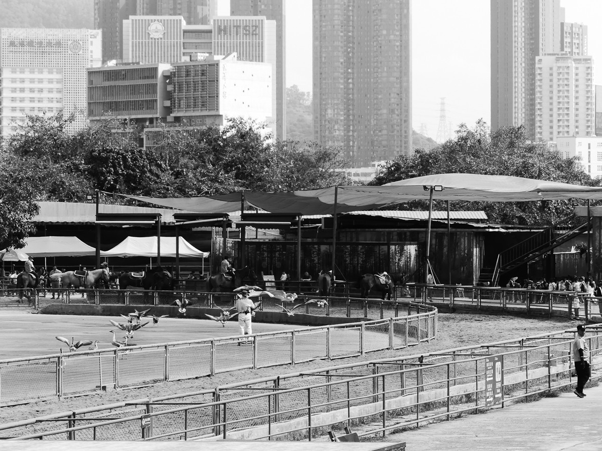 深圳动物园5（完结篇）