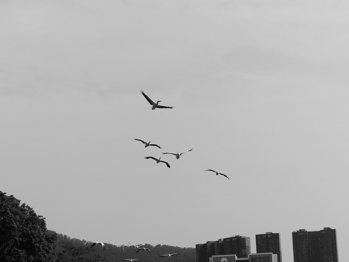 深圳动物园5（完结篇）