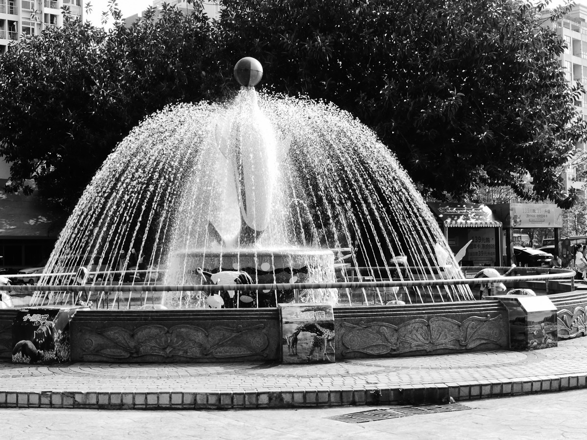 深圳动物园5（完结篇）