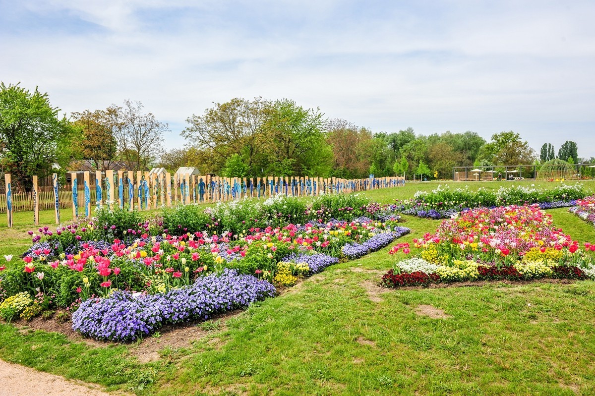 花之圆（莱茵花博会）
