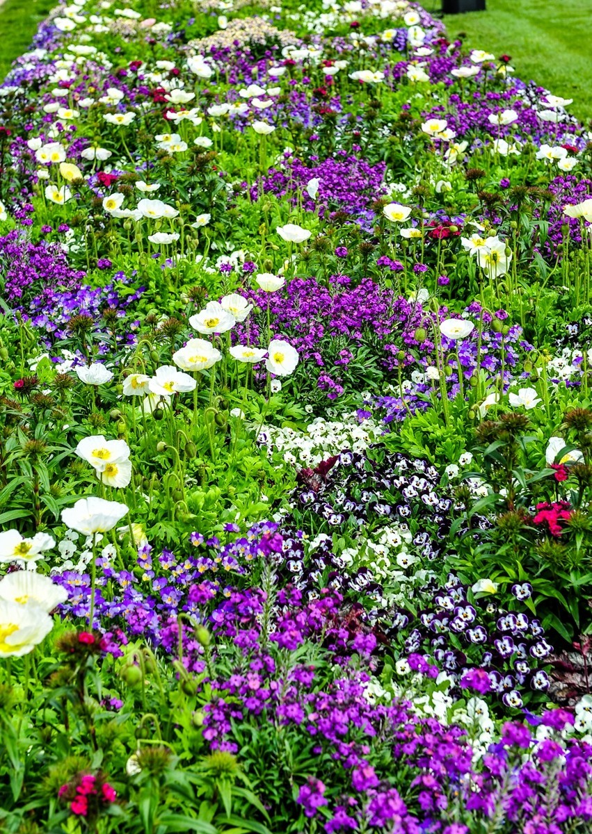 花之圆（莱茵花博会）