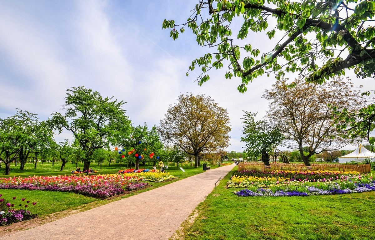 花之圆（莱茵花博会）