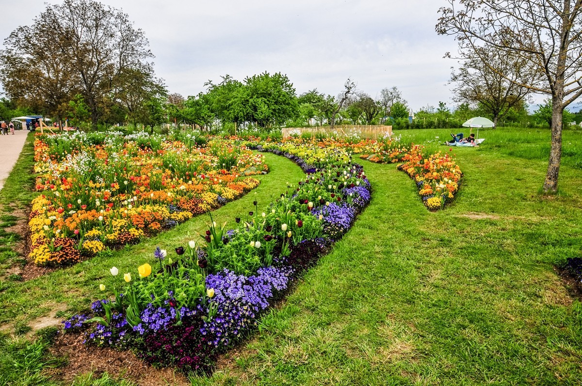 花之圆（莱茵花博会）