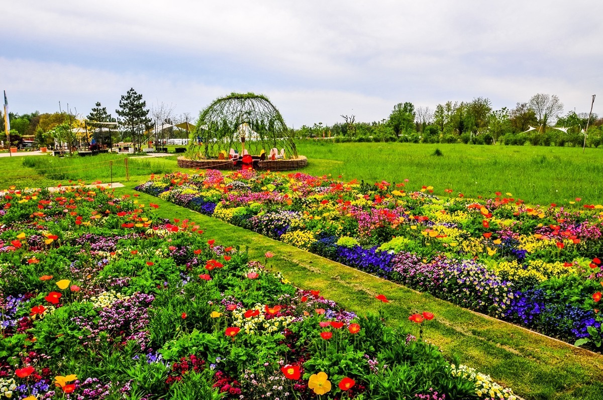 花之圆（莱茵花博会）
