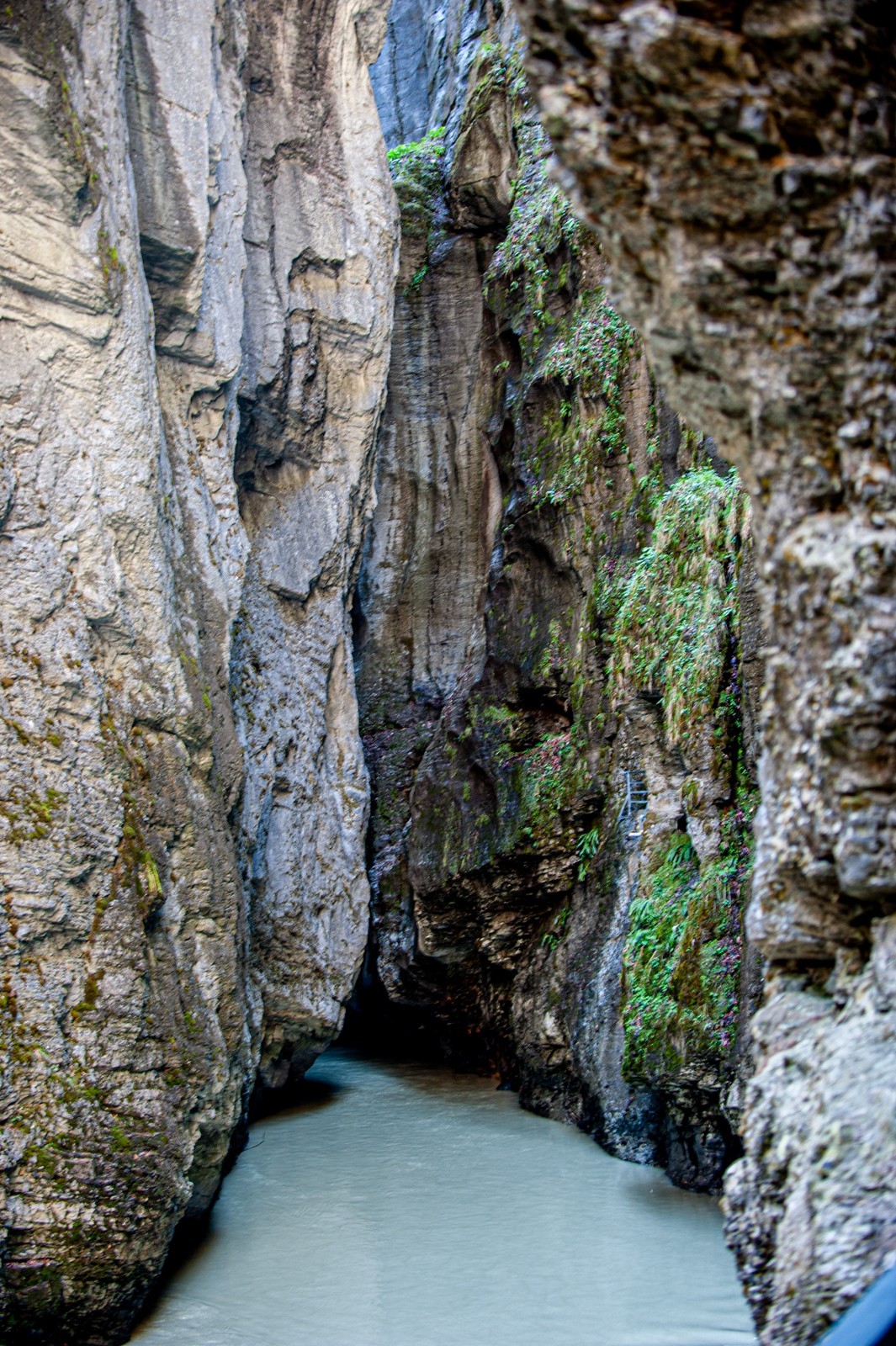 阿尔皮斯山大峡谷（瑞士）