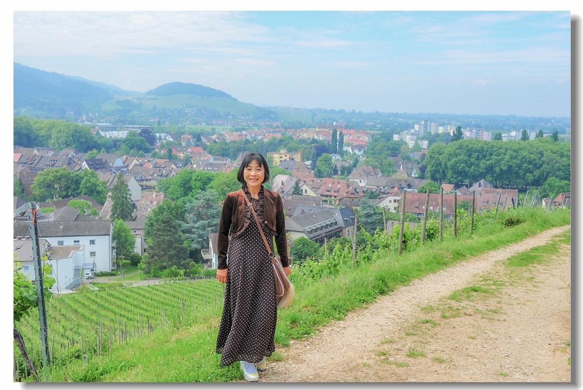 酒山写影(南德)