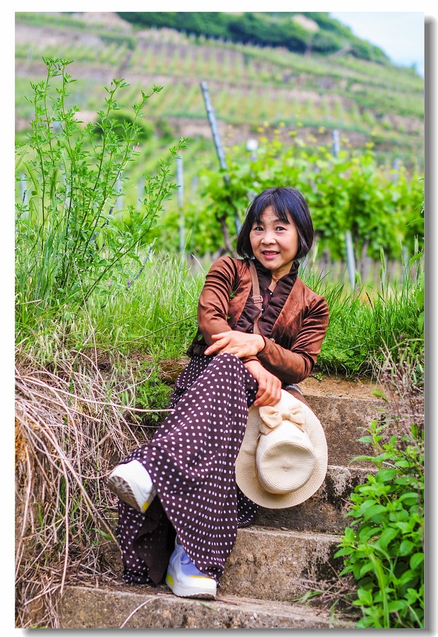 酒山写影(南德)