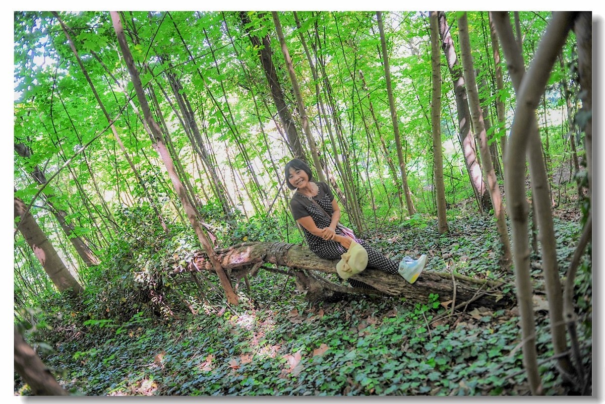 酒山写影(南德)